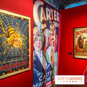 Exposition Magique ! au Musée de la Carte à jouer - IMG 2221