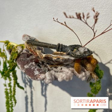 Le Musée d'Art et de Culture Soufis  - IMG 7939