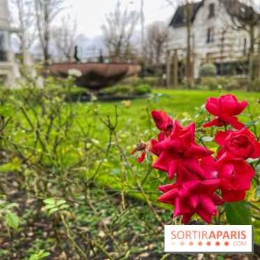 Le Musée d'Art et de Culture Soufis  - IMG 7956