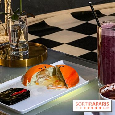 Bulle de rêves : la terrasse d'hiver du restaurant George au sommet du Centre Pompidou - IMG 5395 jpg