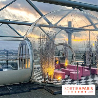 Bulle de rêves : la terrasse d'hiver du restaurant George au sommet du Centre Pompidou - 2