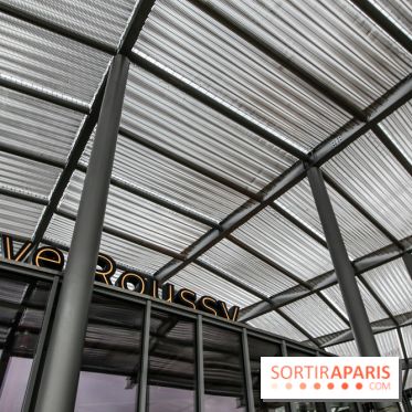 Gare Villejuif - Gustave Roussy, nos phoros