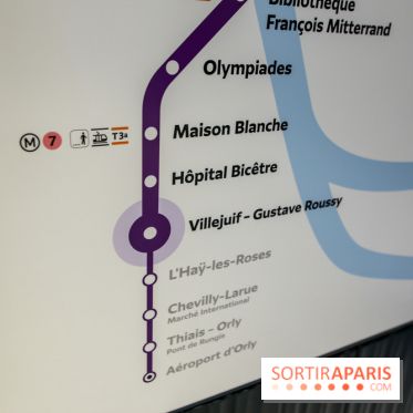 Gare Villejuif - Gustave Roussy, nos phoros