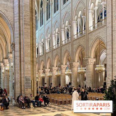 Notre-Dame de Paris - visuels - 2