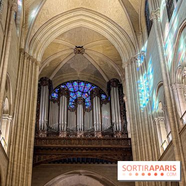 Notre-Dame de Paris - visuels - 2