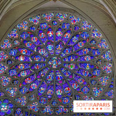 Notre-Dame de Paris - visuels - 2