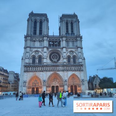 Notre-Dame de Paris - visuels - nuit