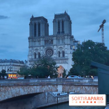 Notre-Dame de Paris - visuels - nuit