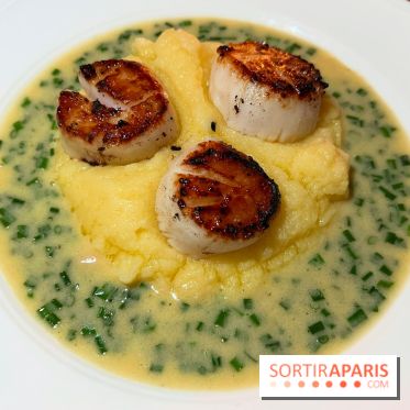 Magnolia - Saint-Jacques, purée