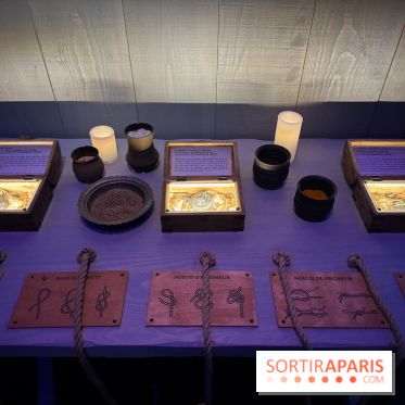 Cité Immersive Viking