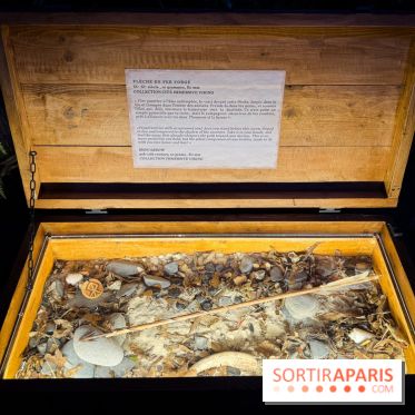 Cité Immersive Viking  - IMG 5274