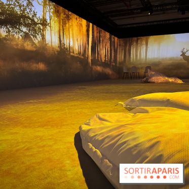 Cité Immersive Viking  - IMG 5335