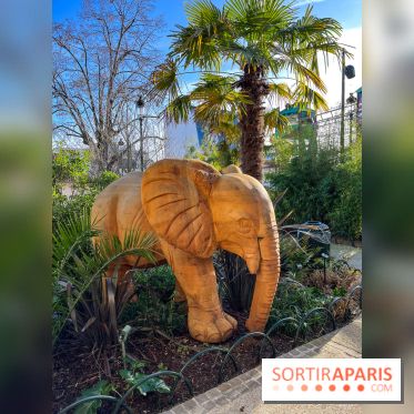 Square de la Jungle - nos photos
