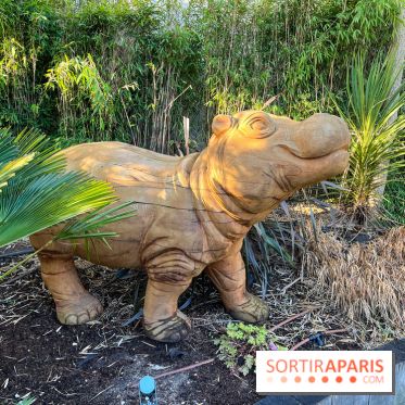 Square de la Jungle - nos photos