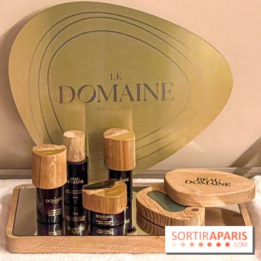 Les Lumières, l'hôtel 5* près du Château de Versailles  - image00073