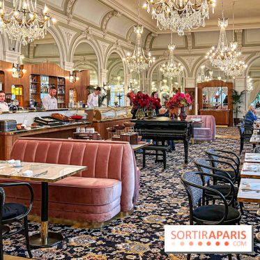 Les Lumières, l'hôtel 5* près du Château de Versailles  - image00082