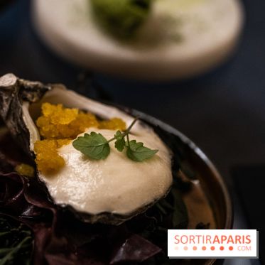 Rivages Supper Club, la nouvelle table confidentielle sur Scribe Paris Opéra en accord mets et cocktails -  A7C8422