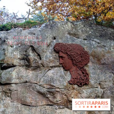 Randonnée à Fontainebleau : le sentier sur les pas de Denecourt jusqu’à la Tour Denecourt -  A7C7555