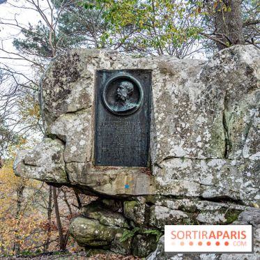 Randonnée à Fontainebleau : le sentier sur les pas de Denecourt jusqu’à la Tour Denecourt