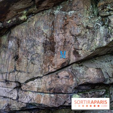 Randonnée à Fontainebleau : le sentier sur les pas de Denecourt jusqu’à la Tour Denecourt -  A7C7559