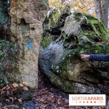 Randonnée à Fontainebleau : le sentier sur les pas de Denecourt jusqu’à la Tour Denecourt -  A7C7560