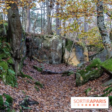 Randonnée à Fontainebleau : le sentier sur les pas de Denecourt jusqu’à la Tour Denecourt