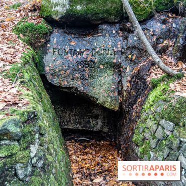 Randonnée à Fontainebleau : le sentier sur les pas de Denecourt jusqu’à la Tour Denecourt -  A7C7580