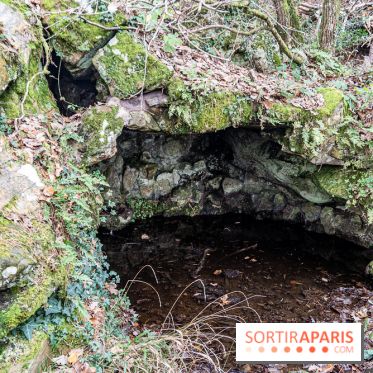 Randonnée à Fontainebleau : le sentier sur les pas de Denecourt jusqu’à la Tour Denecourt -  A7C7587