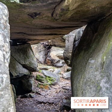Randonnée à Fontainebleau : le sentier sur les pas de Denecourt jusqu’à la Tour Denecourt -  A7C7597