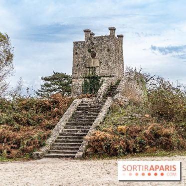 Randonnée à Fontainebleau : le sentier sur les pas de Denecourt jusqu’à la Tour Denecourt