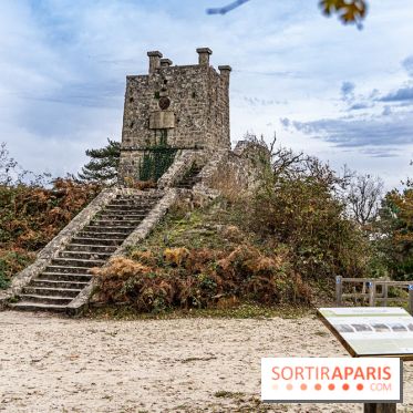 Randonnée à Fontainebleau : le sentier sur les pas de Denecourt jusqu’à la Tour Denecourt -  A7C7603