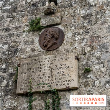 Randonnée à Fontainebleau : le sentier sur les pas de Denecourt jusqu’à la Tour Denecourt