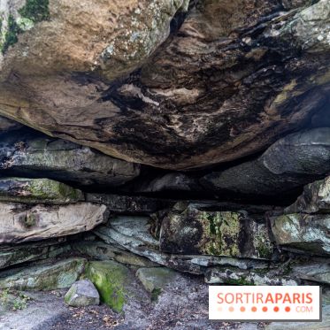 Randonnée à Fontainebleau : le sentier sur les pas de Denecourt jusqu’à la Tour Denecourt -  A7C7616