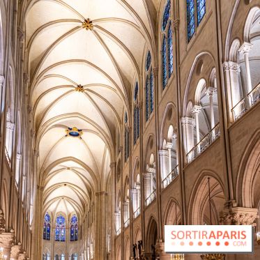 Visite de Notre-Dame de Paris -  A7C0174