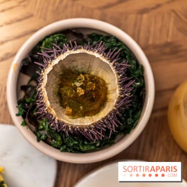 Restaurant Bellefeuille par Grégory Garimbay au Saint James Paris -  A7C0395