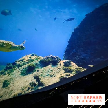 La Géode 2025 - IMG 8543 jpg