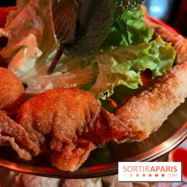 Wukong The Grand Master - Nems