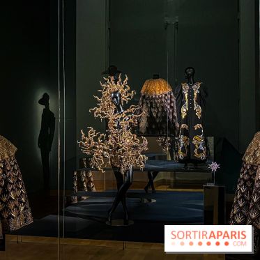 Louvre Couture : l'exposition mode évènement, la première de l'histoire du musée du Louvre - IMG 9048 jpg