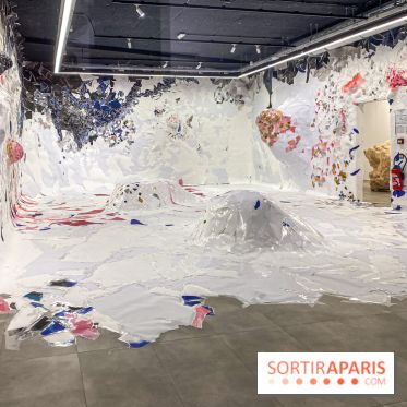 Exposition Belladone de Tatiana Wolska au Drawing Lab - IMG 2348