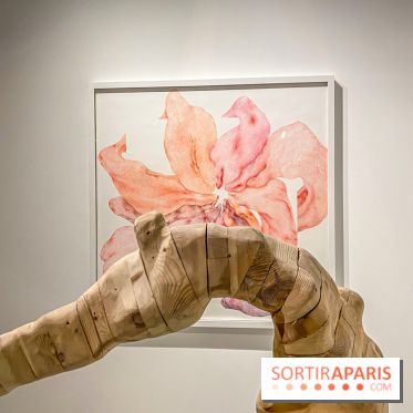 Exposition Belladone de Tatiana Wolska au Drawing Lab - IMG 2353