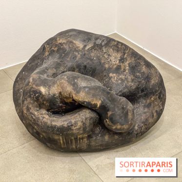 Exposition Belladone de Tatiana Wolska au Drawing Lab - IMG 2356