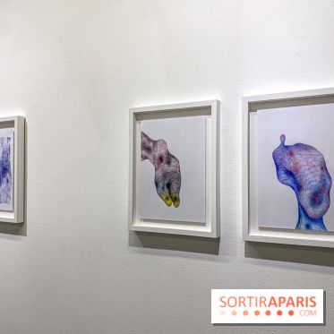 Exposition Belladone de Tatiana Wolska au Drawing Lab - IMG 2360