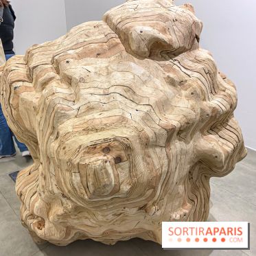 Exposition Belladone de Tatiana Wolska au Drawing Lab - IMG 2364