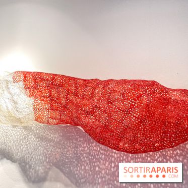 Exposition Belladone de Tatiana Wolska au Drawing Lab - IMG 2386