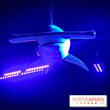 Ocean 12, le mini-golf indoor pour toute la famille à Bercy Village - IMG 2473