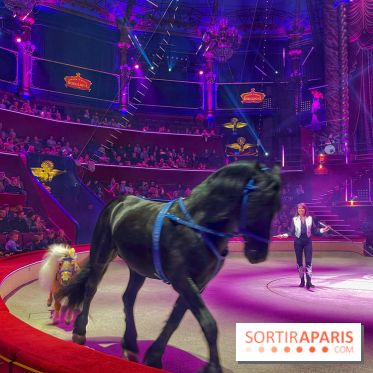 Spectaculaire - Cirque d'hiver - IMG 8494