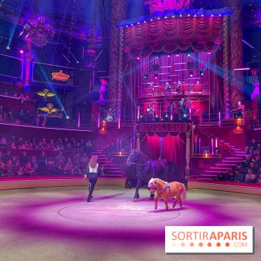 Spectaculaire - Cirque d'hiver