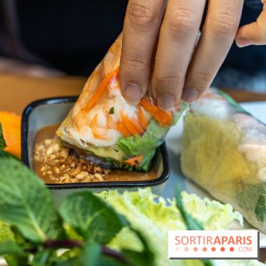Chez An - Au coin du Vietnam, restaurant vietnamien du 14e à Paris -  rouleau de printemps