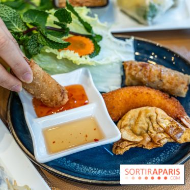 Chez An - Au coin du Vietnam, restaurant vietnamien du 14e à Paris -  nems - assortiment frit