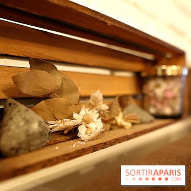 P’tit bon à Paris, nos photos - P'tit Bon 7 fotor 20250126132442